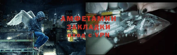 мет Алексин