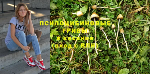 спайс Алексеевка